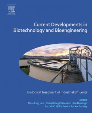 Kniha Current Developments in Biotechnology and Bioengineering Ashok Pandey