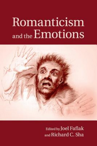 Книга Romanticism and the Emotions Joel Faflak