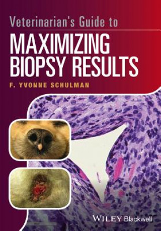 Könyv Veterinarian's Guide to Maximizing Biopsy Results F. Yvonne Schulman