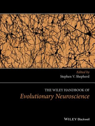 Könyv Wiley Handbook of Evolutionary Neuroscience Stephen V. Shepherd