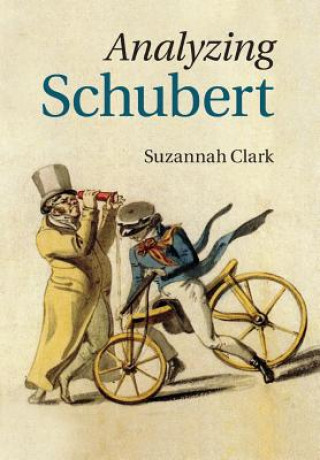 Kniha Analyzing Schubert Suzannah Clark