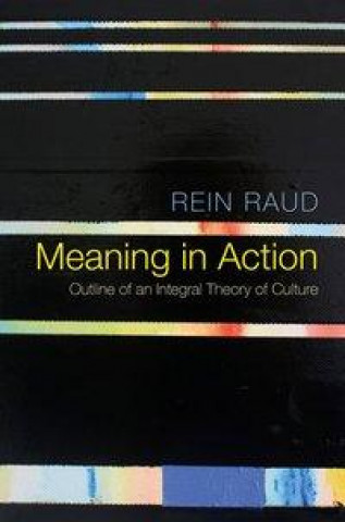 Könyv Meaning in Action - Outline of an Integral Theory of Culture Rein Raud