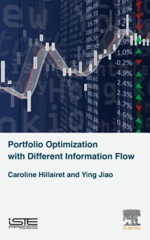 Carte Portfolio Optimization with Different Information Flow Caroline Hillairet