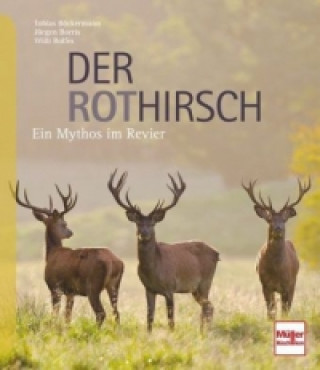 Kniha Der Rothirsch Willi Rolfes