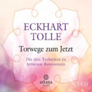 Audio Torwege zum Jetzt, 1 Audio-CD Eckhart Tolle