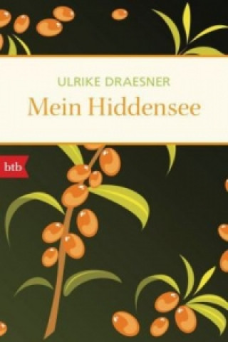 Kniha Mein Hiddensee Ulrike Draesner
