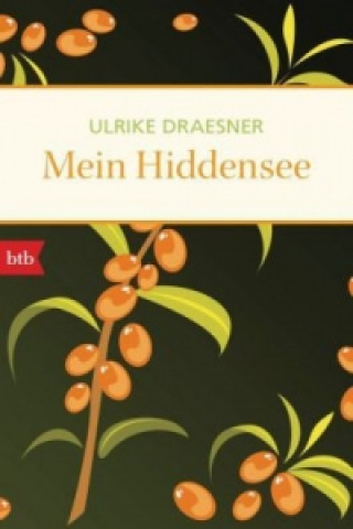 Livre Mein Hiddensee Ulrike Draesner