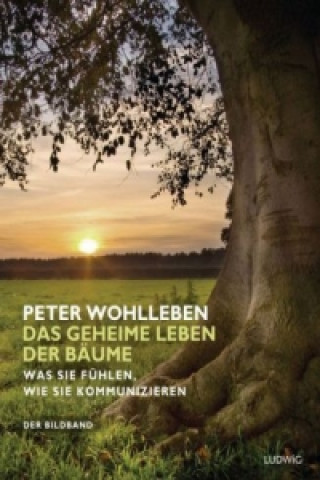Carte Das geheime Leben der Bäume Peter Wohlleben