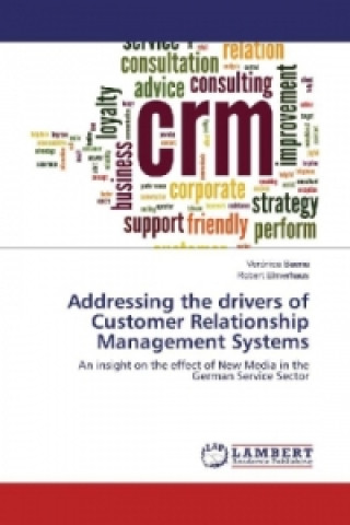 Kniha Addressing the drivers of Customer Relationship Management Systems Veronica Baena