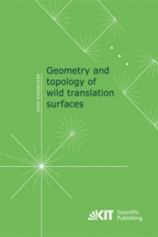 Książka Geometry and topology of wild translation surfaces Anja Randecker