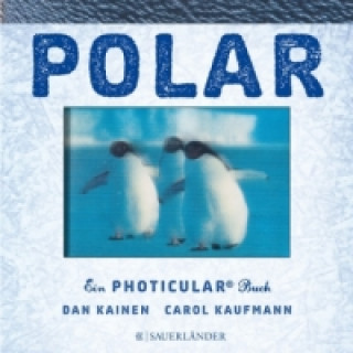Carte Polar Dan Kainen