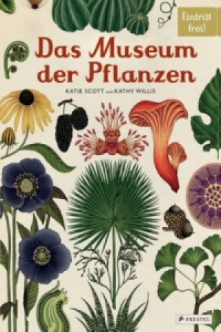 Kniha Das Museum der Pflanzen Katie Scott