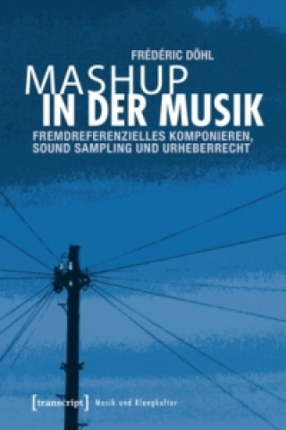 Boek Mashup in der Musik Frédéric Döhl