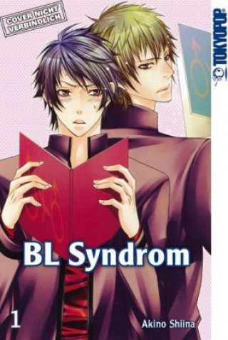 Kniha BL Syndrom. Bd.1 Akino Shiina