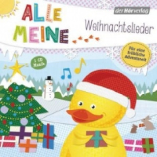 Audio Alle meine Weihnachtslieder, 1 Audio-CD Martin Pfeiffer