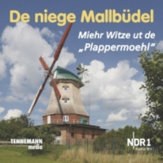 Audio De niege Mallbüdel, 1 Audio-CD Manfred Brümmer