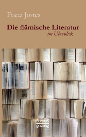 Buch flamische Literatur im UEberblick Franz Jostes