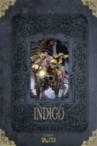 Kniha Indigo Robert Feldhoff