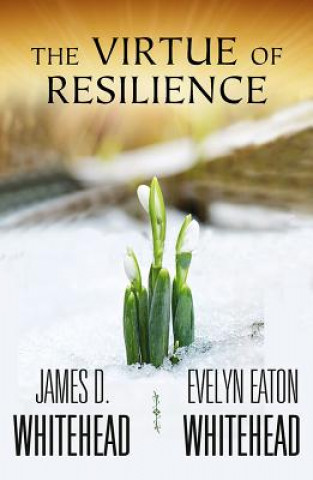 Kniha Virtue of Resilience James D. Whitehead