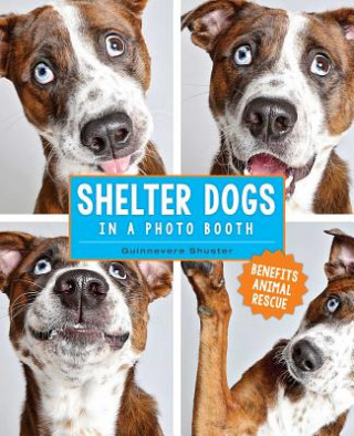 Kniha Shelter Dogs in a Photo Booth Guinnevere Shuster