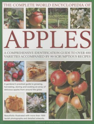 Kniha Complete World Encyclopedia of Apples Andrew Mikolajski