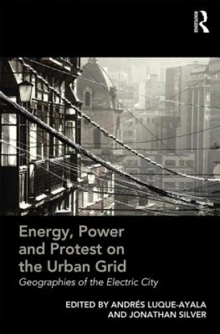 Könyv Energy, Power and Protest on the Urban Grid 