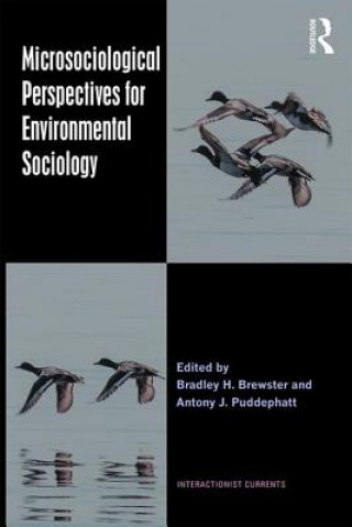 Könyv Microsociological Perspectives for Environmental Sociology BRADLEY H BREWSTER