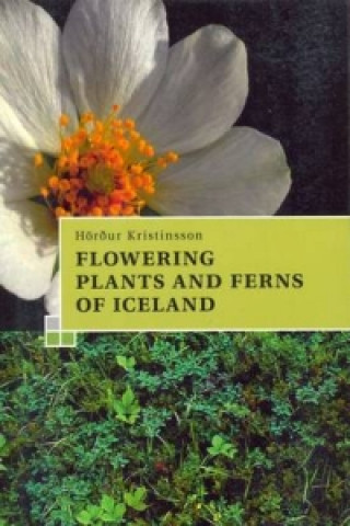 Livre Guide to the Flowering Plants and Ferns of Iceland 