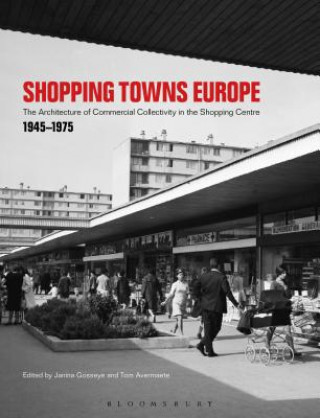 Книга Shopping Towns Europe Janina Gosseye