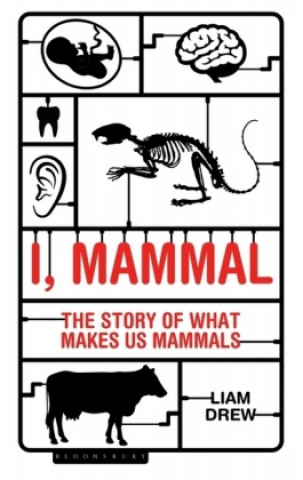 Carte I, Mammal DREW LIAM