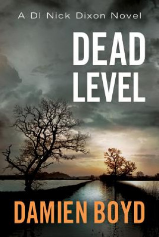 Книга Dead Level Damien Boyd
