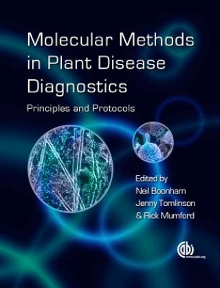 Kniha Molecular Methods in Plant Disease Diagnostics 