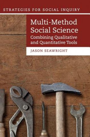 Buch Multi-Method Social Science SEAWRIGHT  JASON
