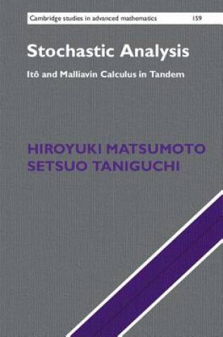 Libro Stochastic Analysis MATSUMOTO  HIROYUKI