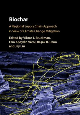 Kniha Biochar EDITED BY VIKTOR BRU