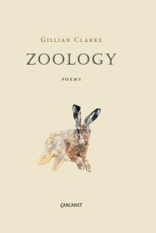Kniha Zoology Gillian Clarke