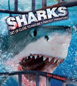 Libro Sharks Ben Hubbard