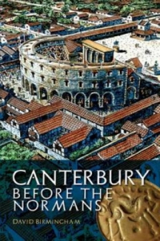 Kniha Canterbury Before the Normans Professor David Birmingham