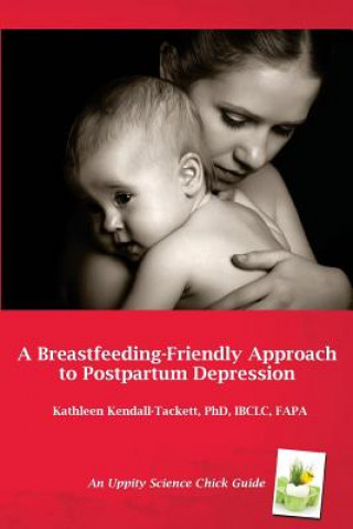 Kniha Breastfeeding Friendly Approach to Postpartum Depression: A Resource Guide for Health Care Providers Kathleen Kendall Tackett PhD IBCLC FAPA