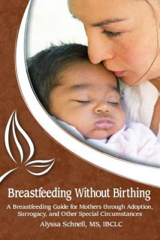 Könyv Breastfeeding Without Birthing: A Breastfeeding Guide for Mothers through Adoption, Surrogacy, and Other Special Circumstances ALYSSA SCHNELL