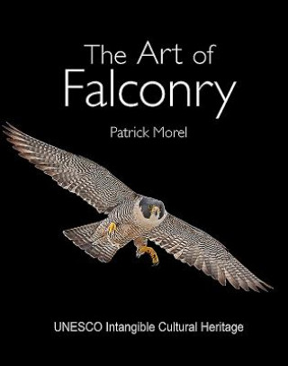 Book Art of Falconry Patrick Morel