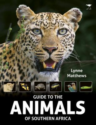 Könyv Guide to the animals of Southern Africa Lynne Matthews