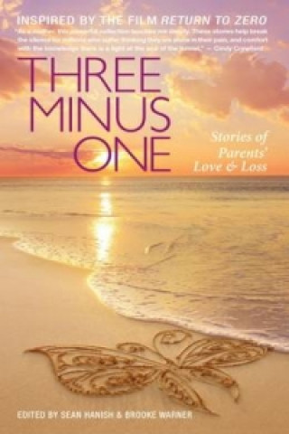 Könyv Three Minus One: Parents' Stories of Love and Loss 