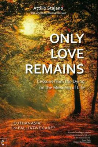 Kniha Only Love Remains Attilio Stanjano