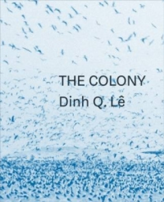 Kniha Dinh Q. Le the Colony Jonathan Watkins