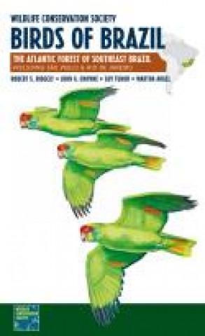 Kniha Wildlife Conservation Society Birds of Brazil Robert S. Ridgely