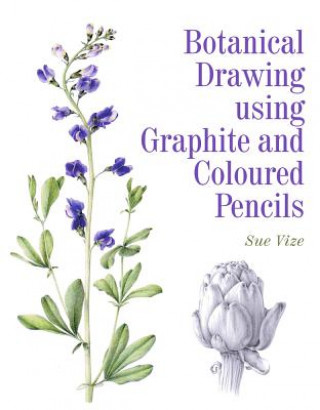 Kniha Botanical Drawing using Graphite and Coloured Pencils Sue Vize