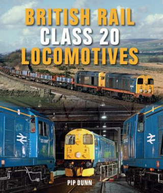 Kniha British Rail Class 20 Locomotives Pip Dunn