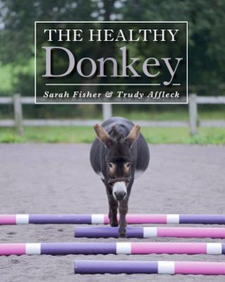 Книга Healthy Donkey Sarah Fisher