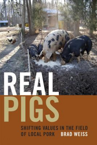 Carte Real Pigs Brad Weiss